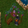 The following pages have all the guides listed imported from Castles and Courtyard’s original site since the last update.&nbsp; Floral Items Seasonal Decor: Christmas Seasonal Decor: Halloween Seasonal Decor: Easter/Spring...