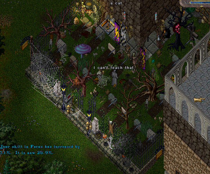 Full 13Th Dimension Ultima Online Account